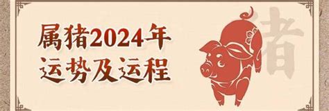 肖猪2024年运程|属猪人2024年全年运势运程详解